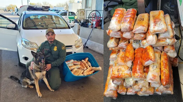 Agentes caninos encuentran más de 40 kilos de Fentanilo en la frontera