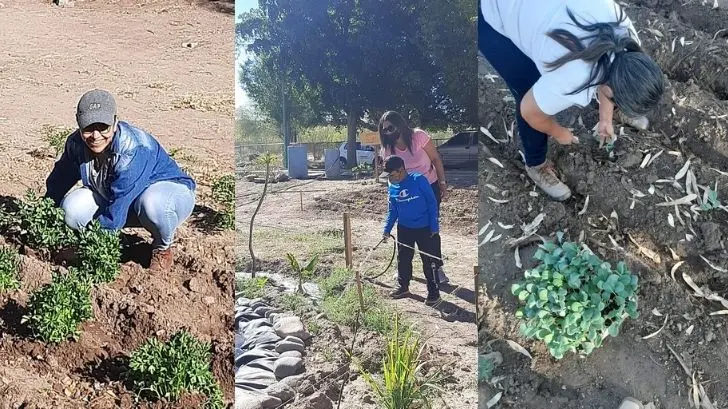 Parque La Sauceda; ambientalistas no detendrán esfuerzos ante los incendios