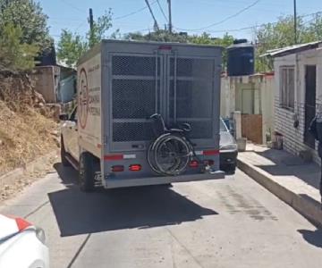 Rescatan a 90 animales en estado de hacinamiento