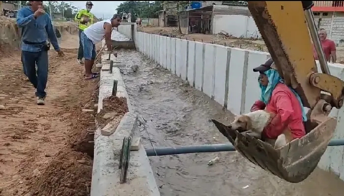 Viral: Obrero arriesga su vida para salvar del agua a perro