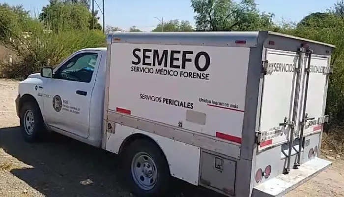 Guerreras Buscadoras de Cajeme hallan restos en Ejido Henequén