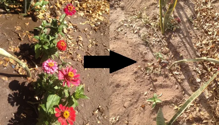 (Imágenes: Cortesía/EXPRESO)