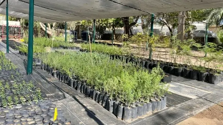 Foto: Abigahil Castro