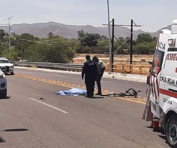 Ciclista atropellado en puente San Miguel de San Pedro muere en el lugar