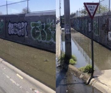 Banqueta del Panteón Yáñez se ha convertido en un lago de agua sucia