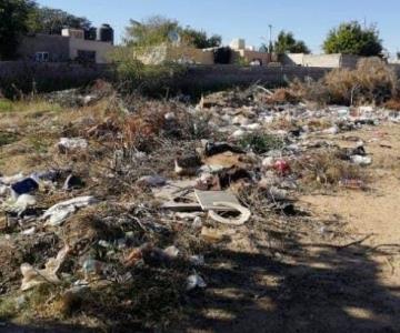 Patio de primaria al norte de Hermosillo se ha convertido en un basurero clandestino