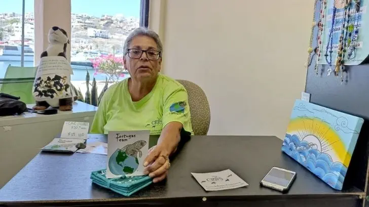 Advierten tener cuidado con nidos de tortugas en playas de San Carlos