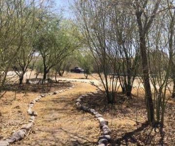 Avanza proyecto ambiental Bosque Ribereño en Parque La Sauceda