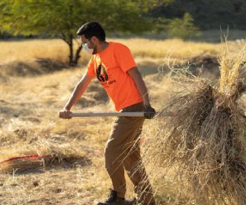 Activistas invitan al Buffeltón en el cerro Johnson