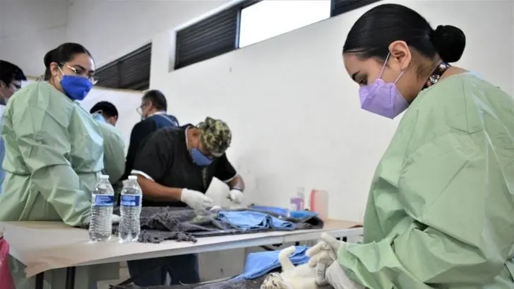 Realizan jornada masiva de esterilización de perros y gatos