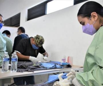 Realizan jornada masiva de esterilización de perros y gatos