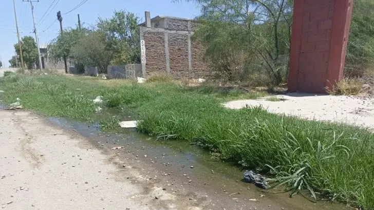 Cudad Obregón; vecinos de la Beltrones denuncian inseguridad y desatención