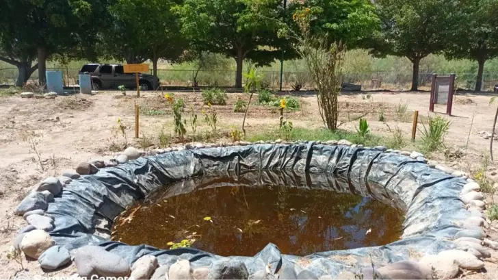 Una vez más, delincuentes vandalizan el parque La Sauceda