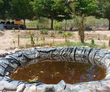 Una vez más, delincuentes vandalizan el parque La Sauceda