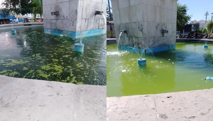 Enlamada y llena de basura se encuentra la fuente del jardín Juárez