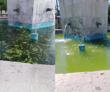 Enlamada y llena de basura se encuentra la fuente del jardín Juárez