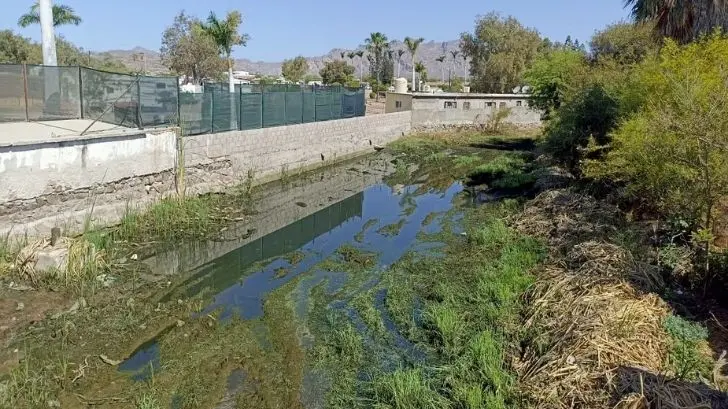 Regresan aguas estancadas a fraccionamiento de San Carlos