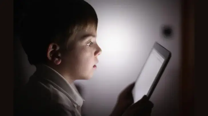 Grooming, el principal riesgo para los menores en el internet: Diego Salcido