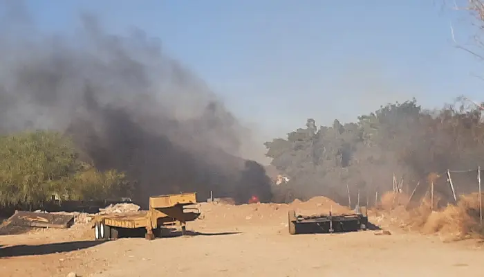 Incendio de arboles genera extensa quema en la colonia Los Ángeles