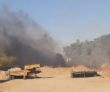 Incendio de arboles genera extensa quema en la colonia Los Ángeles