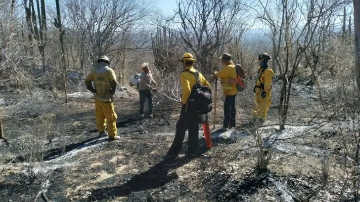 Incendios aumentan en esta temporada: Bomberos de Ciudad Obregón