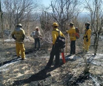 Incendios aumentan en esta temporada: Bomberos de Ciudad Obregón