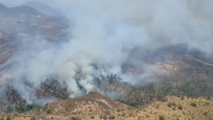 Incendio forestal en Sahuaripa se extiende a Chihuahua