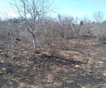 Sofocan incendio forestal en la comunidad del Mexiquillo