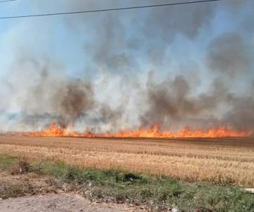 Quema de gavilla: un problema más allá de los incendios