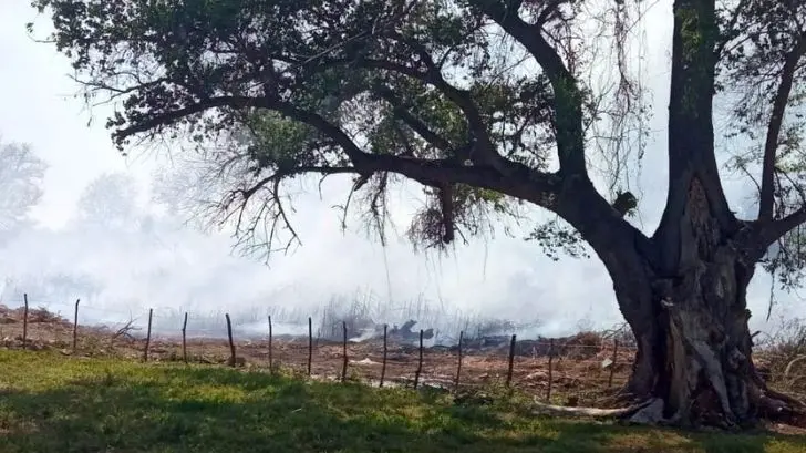 Navojoa: denuncian ecocidio en el Río Mayo a manos de empresa
