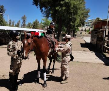 Nogales: Familias asisten al paseo dominical de la Sedena