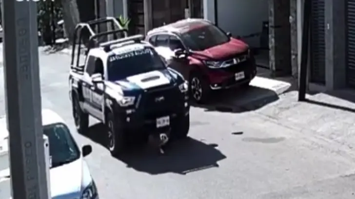 Consterna video de una patrulla atropellando a un perrito en Sinaloa