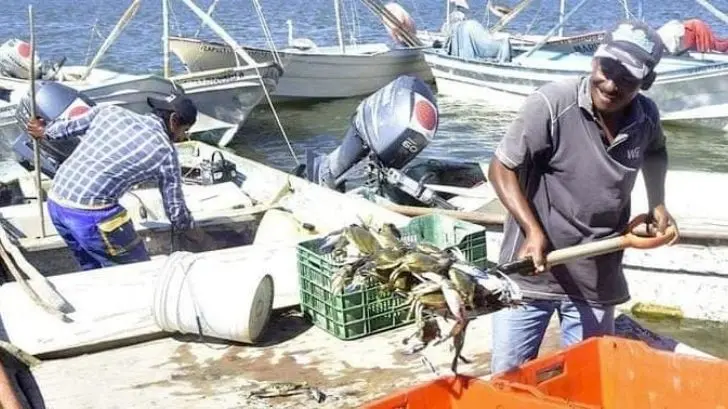 Pescadores del sur de Sonora sufren por veda de jaiba