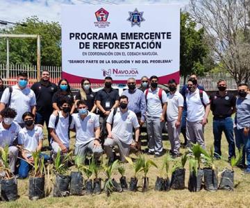 Lleva Prevención del Delito programa de reforestación a escuelas de Navojoa