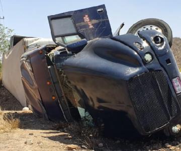 Vuelca tráiler en la carretera Ciudad Obregón-Guaymas