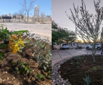 Por el Día del Medio Ambiente, sembrarán arboles en andador del panteón Yáñez