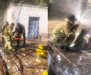 Etchojoa: bomberos rescatan a hombres tras ser atacados por abejas