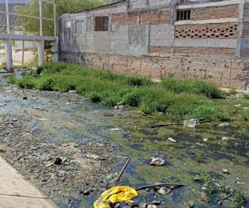 De tanto oler eso nos mareamos; canal con aguas negras amenaza salud de vivienda