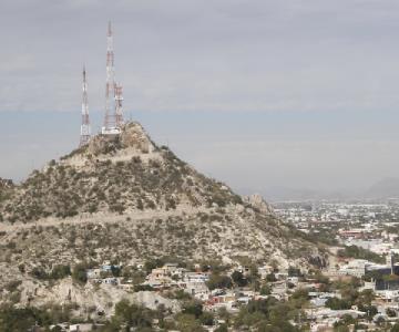 Nuevos desarrollos obligados a tener un árbol por vivienda; hay déficit de arboles en Hermosillo