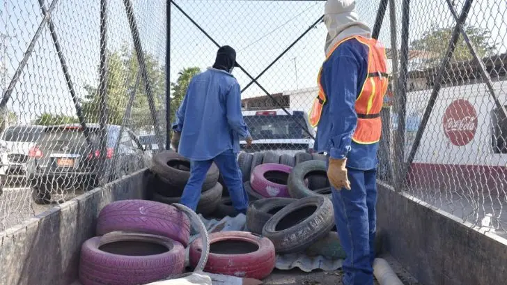 Buscan prevenir el dengue en Navojoa con programa de descacharrización