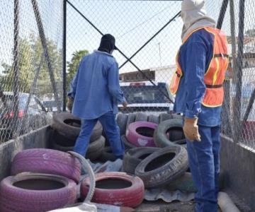 Buscan prevenir el dengue en Navojoa con programa de descacharrización