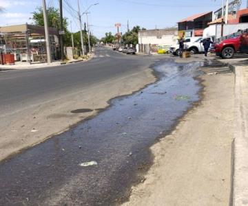 Fuga de drenaje en colonia Palo Verde lleva tres meses sin ser atendida