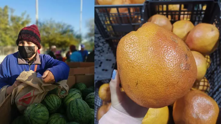El 17% de la producción de frutas y verduras termina en la basura