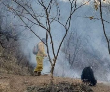 Altas temperaturas aumentan incendios en un 70% en Álamos