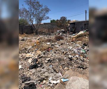 Lote baldío en la colonia Las Torres causa problemas a los vecinos