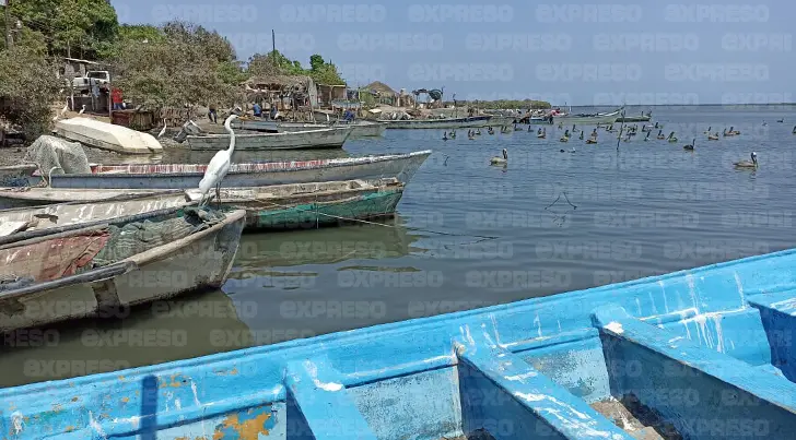 Pescadores del Puerto de Yavaros no ven la luz al final del túnel