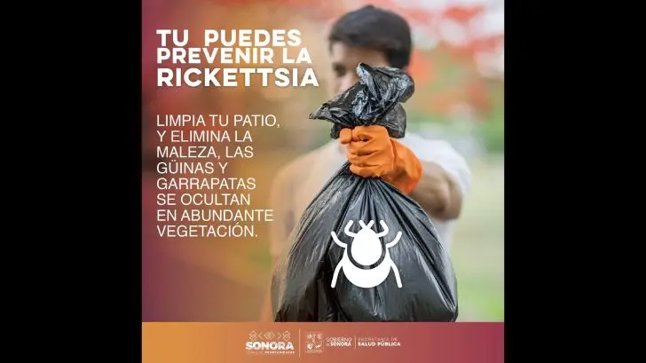 Qué hacer para prevenir la rickettsia y evitar las garrapatas en el hogar