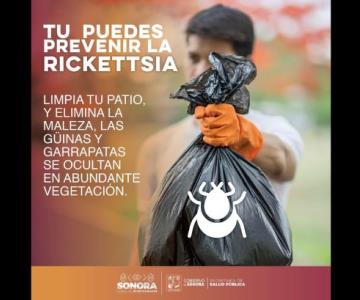 Qué hacer para prevenir la rickettsia y evitar las garrapatas en el hogar