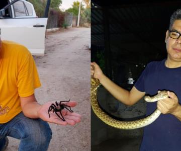 Presencia de chicharras y otros mitos sobre la proximidad de las lluvias